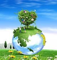 Grupo: Jardinagem e Paisagismo