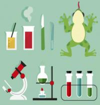 Grupo: Biologia