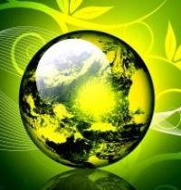 Grupo: Filosofia Verde
